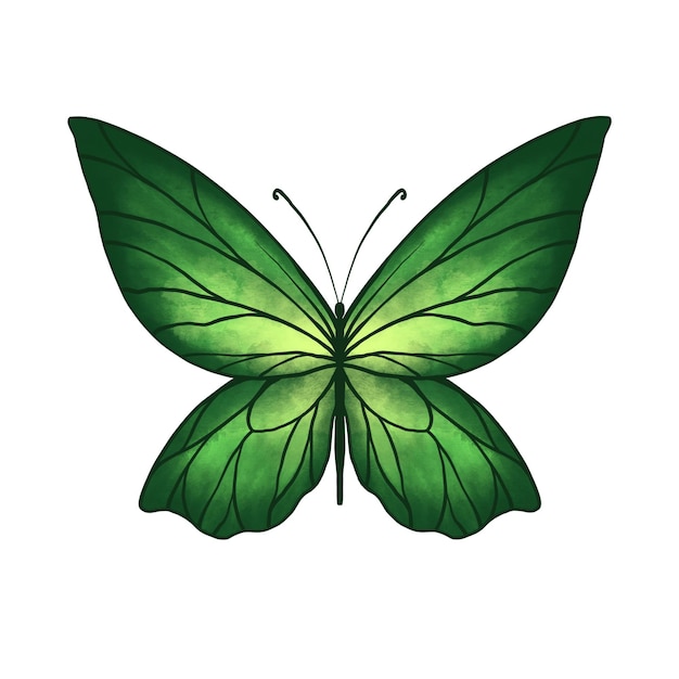 Groene vlinder met de hand getekende illustratie