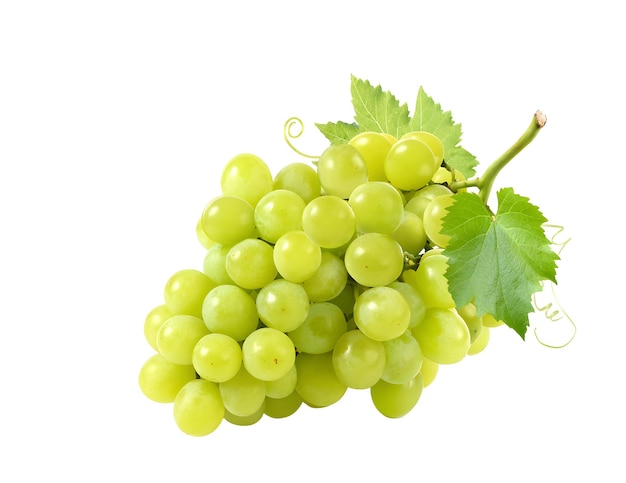 Gromada świeżych zielonych winogron z liśćmi