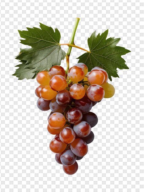 PSD gromada winogron z liściem, na którym jest napisane winogrona.