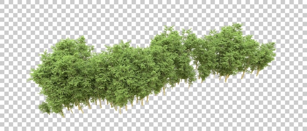 Grønn skog isolert på bakgrunn 3D-rendering illustrasjon