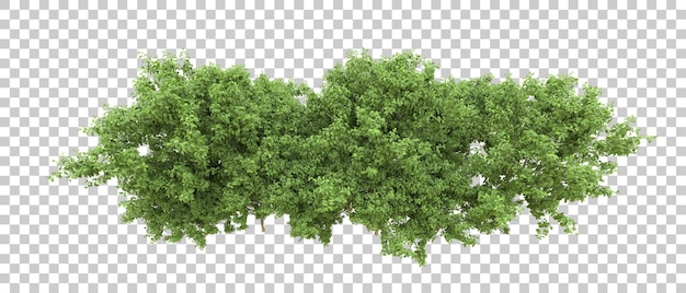 Grønn skog isolert på bakgrunn 3D-rendering illustrasjon