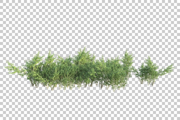 Grønt landskab isoleret på transparent baggrund, 3D-rendering illustration
