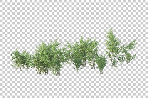 Grønt landskab isoleret på transparent baggrund, 3D-rendering illustration