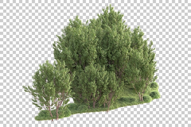 Grønt landskap isolert på transparent bakgrunn, 3D-rendering illustrasjon