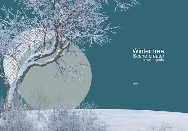 grote boom in de wei in de winter