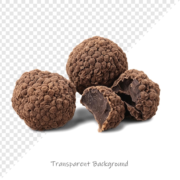 a group of chocolate ice creams with a white background with a place for text on the bottom