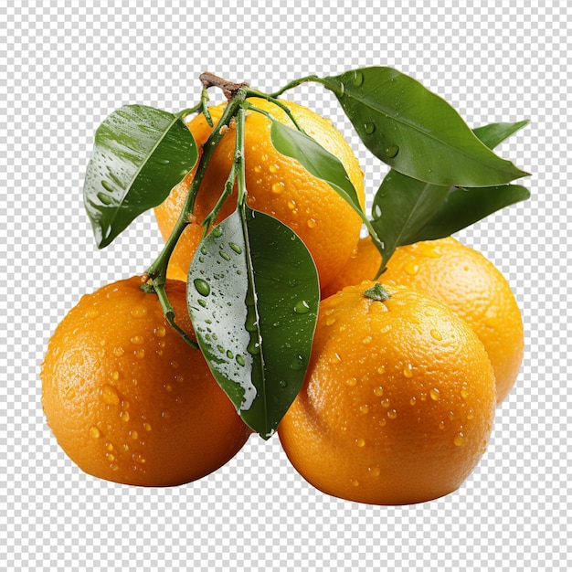PSD un gruppo di mandarino fresco isolato su sfondo bianco