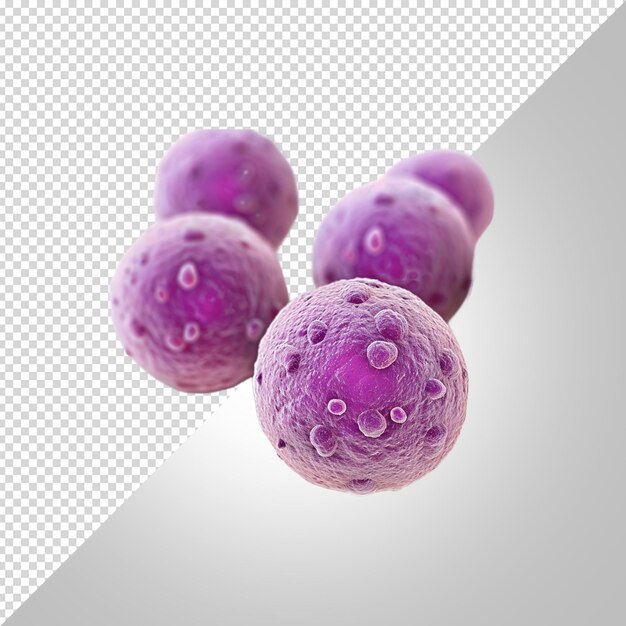 PSD a group of purple and purple raspberries with the word b on them