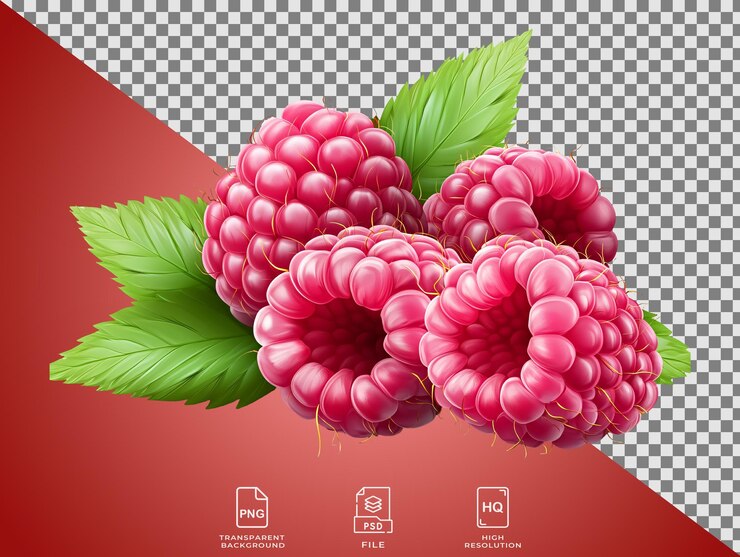 PSD a group of raspberries with leaves