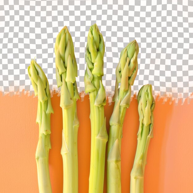 PSD a group of young green onions are shown on an orange background