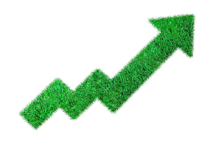 PSD growth diagram of grass on white background