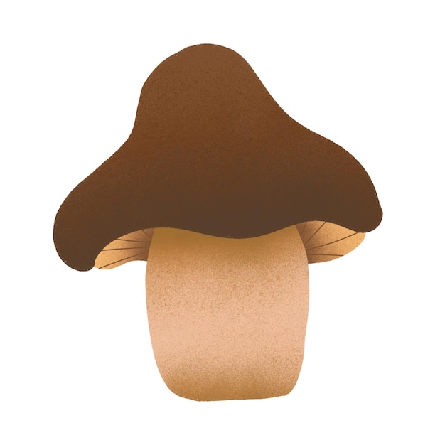 Grzyby
