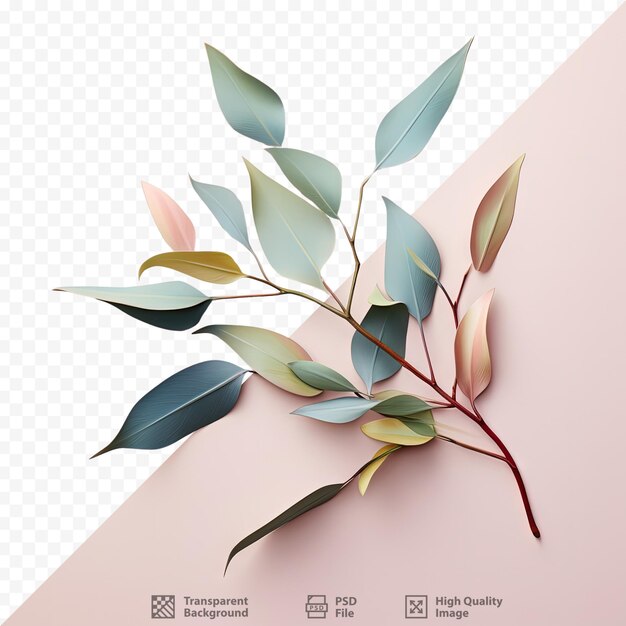 PSD gum leaves against transparent background