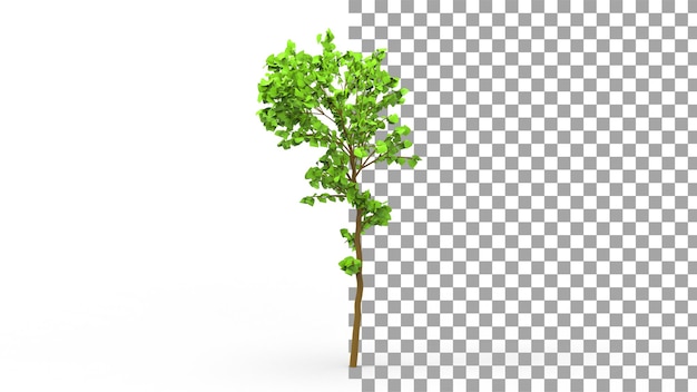 Gumowe drzewo z cieniem renderowania 3d