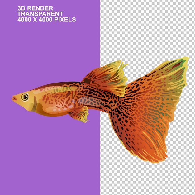 PSD guppy fish goldfish animalslarge taile tiny fishfast speed fishblack eyeslarge equrium fish