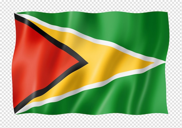 Guyanese flag isolated on white banner