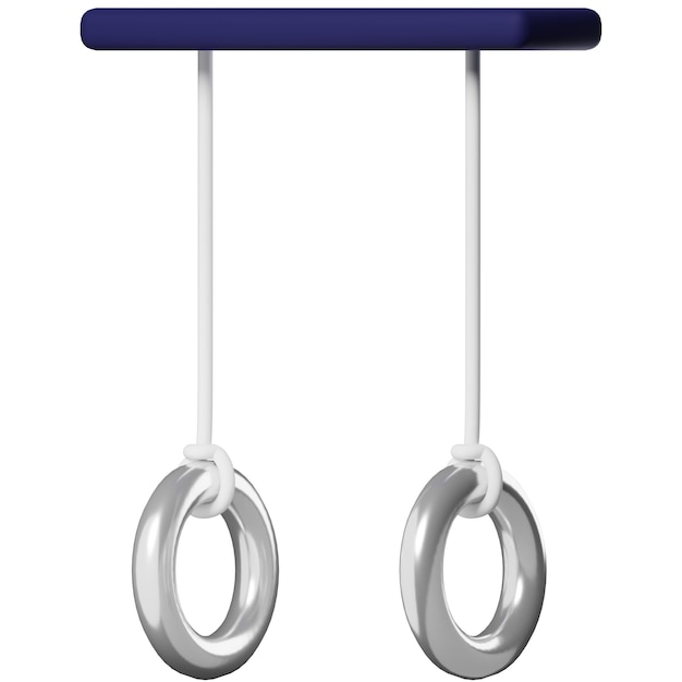 PSD gymnastic rings