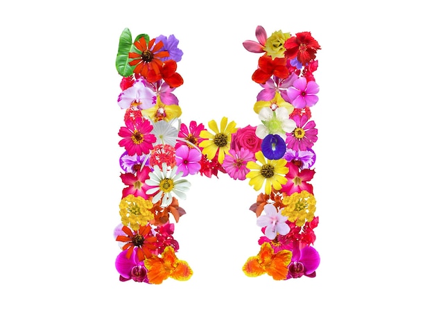 PSD h shape made of various kinds of flowers petals isolated on transparent background png