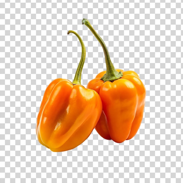 PSD habanero peppers on transparent background