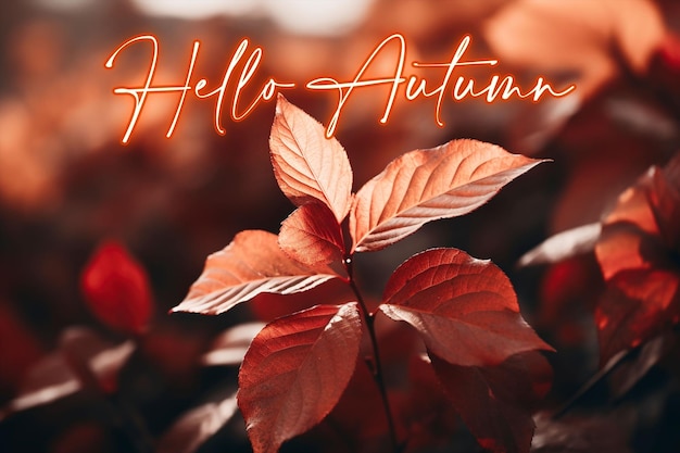 PSD hallo autumn social media post design