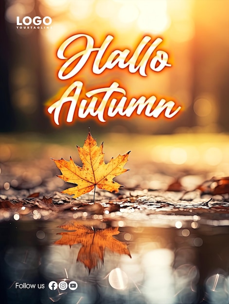 PSD hallo autumn social media poster design