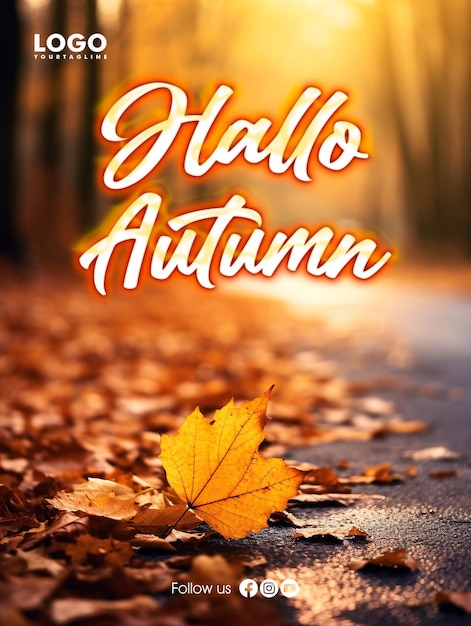 PSD hallo autumn social media poster design