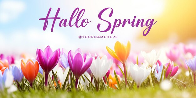 PSD hello spring media social post con banner del sito web che mostra bellissimi fiori primaverili sullo sfondo