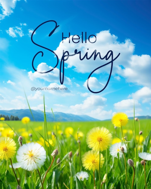 Hallo voorjaars poster sjabloon met prachtige weide met vers gras en gele paardenbloemen