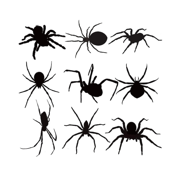 Halloween festival met spinnen
