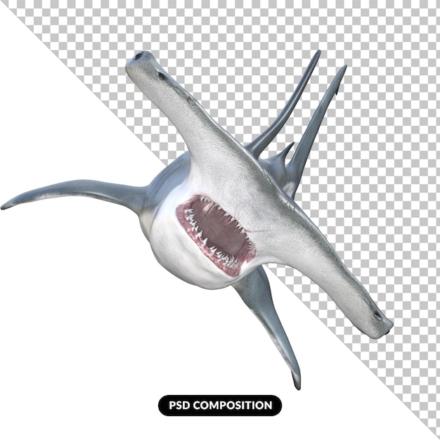 PSD hammerhead shark isolated 3d render