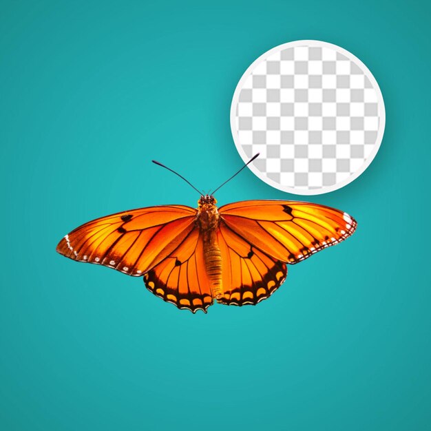 PSD hand drawn butterfly