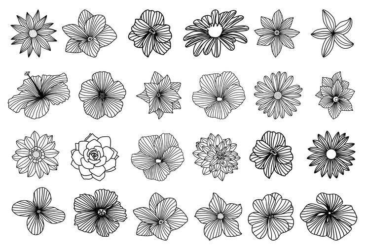 PSD hand drawn collection of flowers set natural botanical