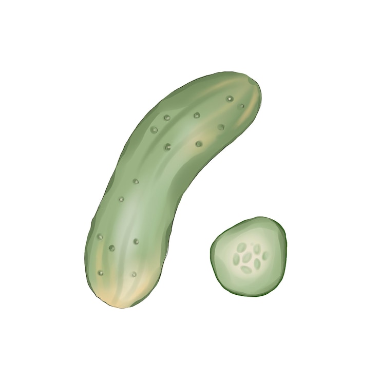 PSD hand-drawn cucumber and a slice of it