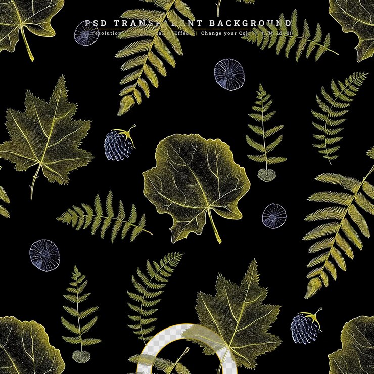 PSD hand drawn fern leaves seamless on transparent background
