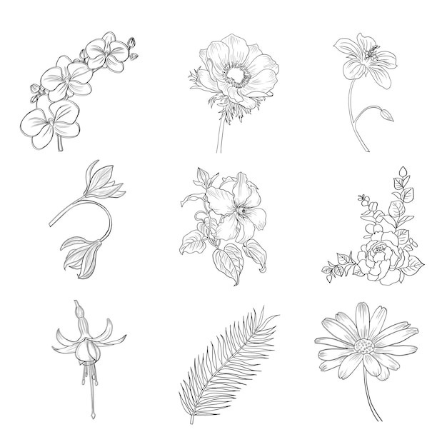 PSD 手描きの花の装飾要素セット