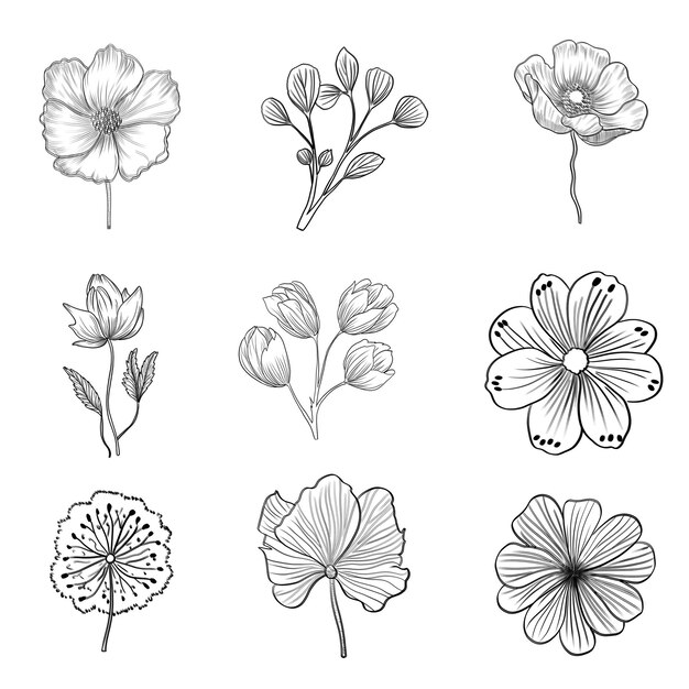 PSD 手描きの花の装飾要素セット