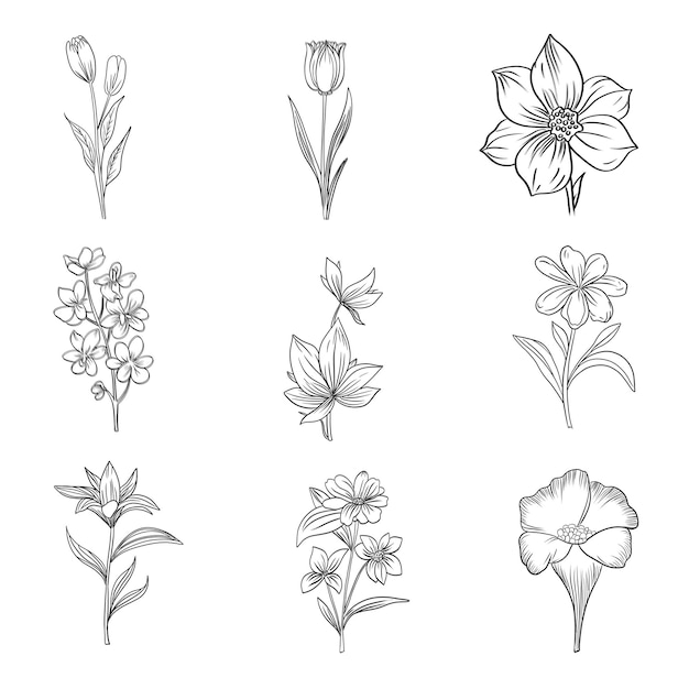 Hand drawn floral decorative elements set