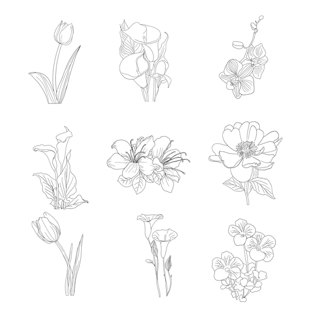 PSD 手描きの花の装飾要素セット