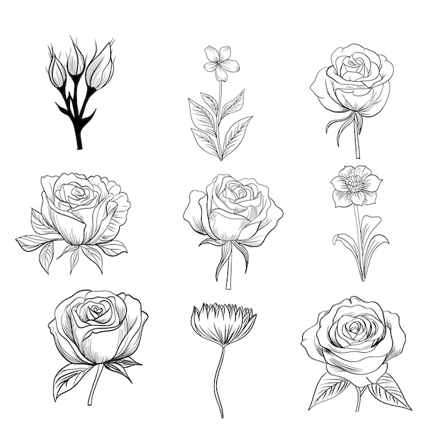 PSD hand drawn floral decorative elements set