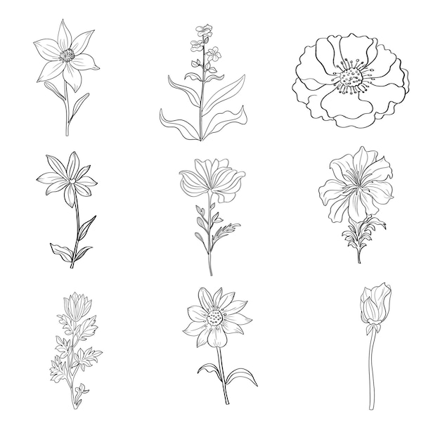 PSD 手描きの花の装飾要素セット