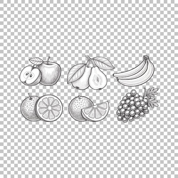 手描きの果物のイラスト