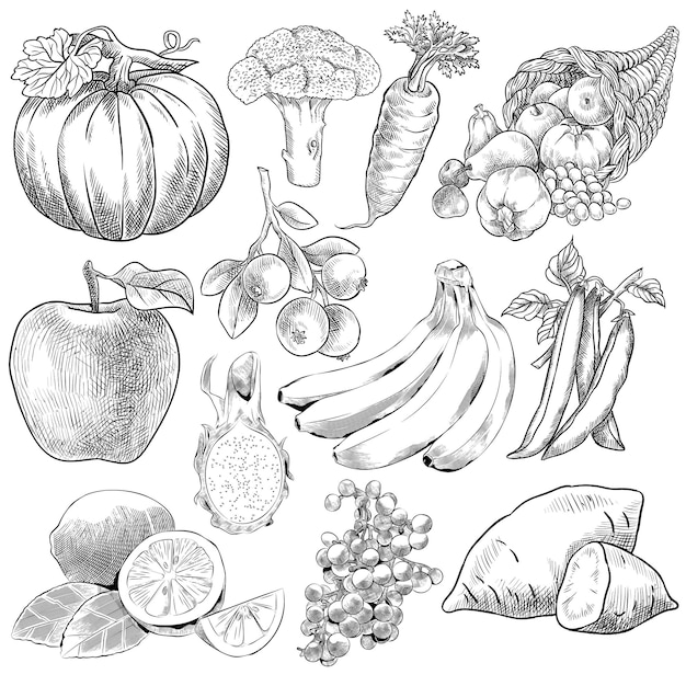 PSD hand drawn outline fruits set