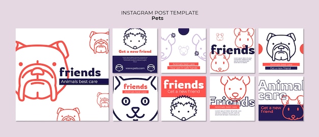 PSD hand drawn pets care instagram posts