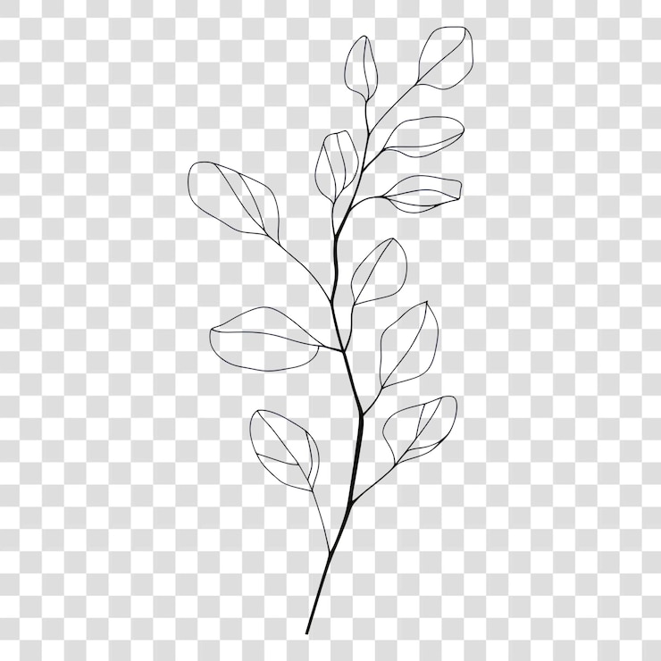 PSD 手で描かれた木の枝のミニマリストのスケッチ