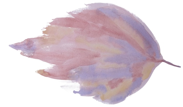 PSD hand drawn watercolour leaves