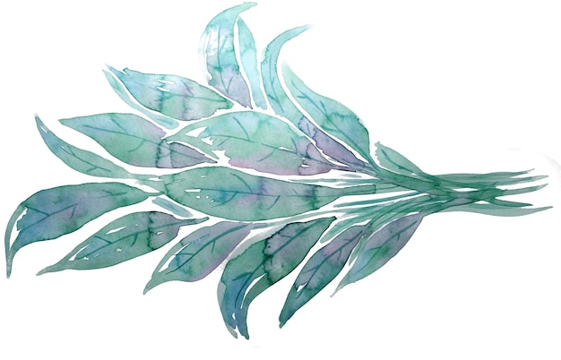 PSD hand drawn watercolour leaves