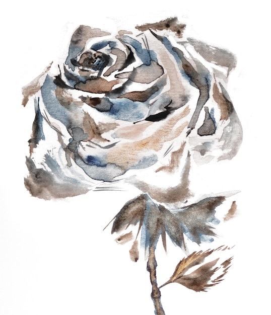 Hand drawn watercolour roses