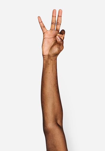 PSD hand gesture isolated