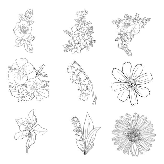 Hand getekende bloemen decoratieve elementen set