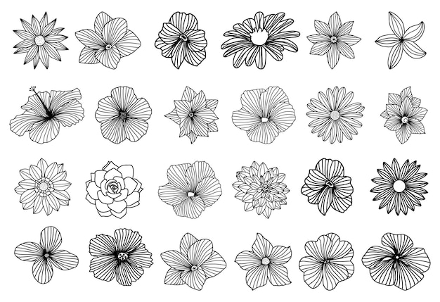 Hand getrokken collectie bloemen instellen natuurlijke botanische